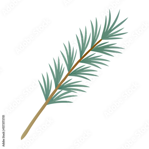 pine branch with cones