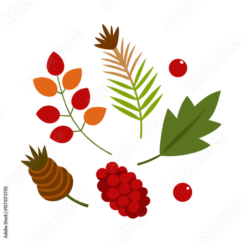 vector illustration of a branch with berries