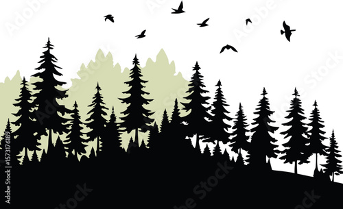 forest and trees