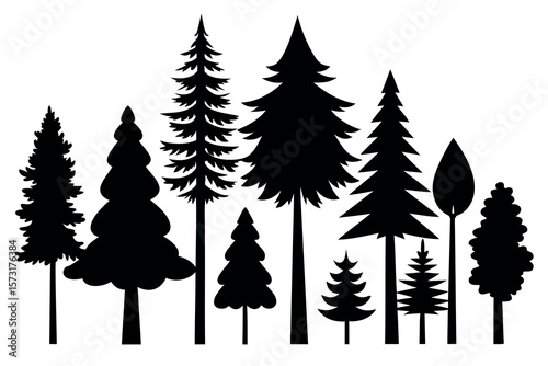 Evergreen Tree Silhouettes – Forest Landscape Vector with Pine, Fir, and Spruce Trees