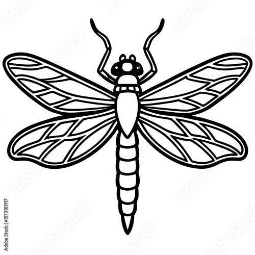 Detailed outline of a dragonfly with intricate wing patterns silhouette