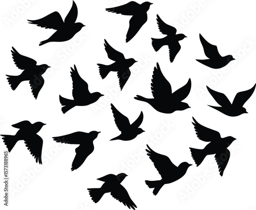 Twelve Birds of Different Species Soaring Together in a Clear Daylight Sky – Ultra-Realistic Nature Scene

