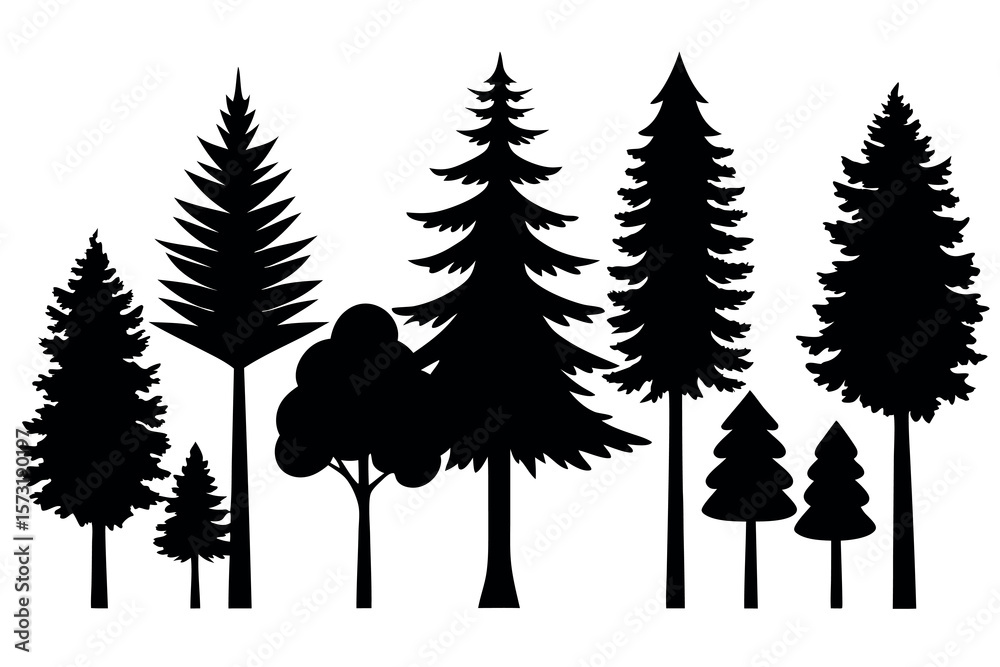 Fototapeta premium Evergreen Pine Tree Vector Silhouettes – Black Woodland Trees Isolated on White