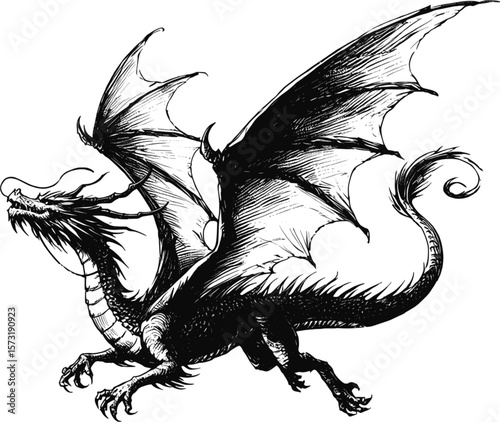 Claws of Destiny Dragon linework vintage ink sketch hand drawn pen drawing illustration background vector