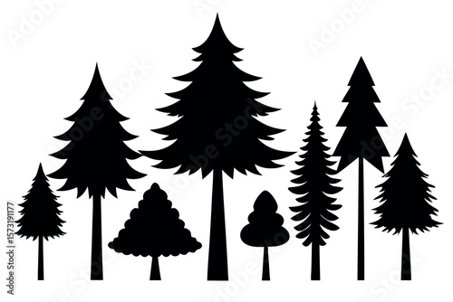 Black Pine Tree Silhouettes – Vector Set of Isolated Evergreen Trees on White Background