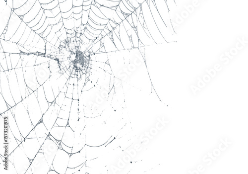 A delicate spiderweb glows against a stark black backdrop, creating an eerie yet fascinating texture and pattern perfect for Halloween themes, transparent background