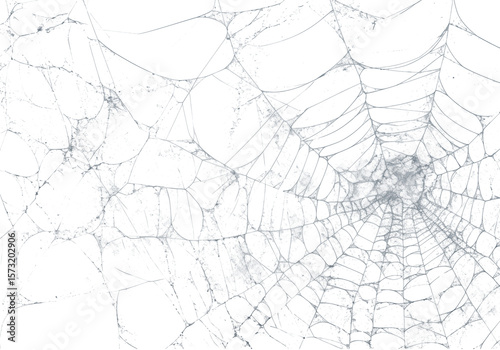 Delicate spiderweb threads stretch across a dark expanse, creating a captivating and eerie pattern ideal for Halloween, abstract design, or textural overlays, transparent background