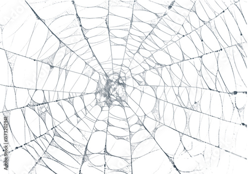 A detailed spiderweb texture against a stark black backdrop, perfect for Halloween designs and spooky themes, with an intricate arachnid pattern, transparent background