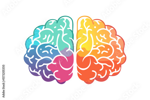 Colorful illustration of a human brain divided into four distinct color sections