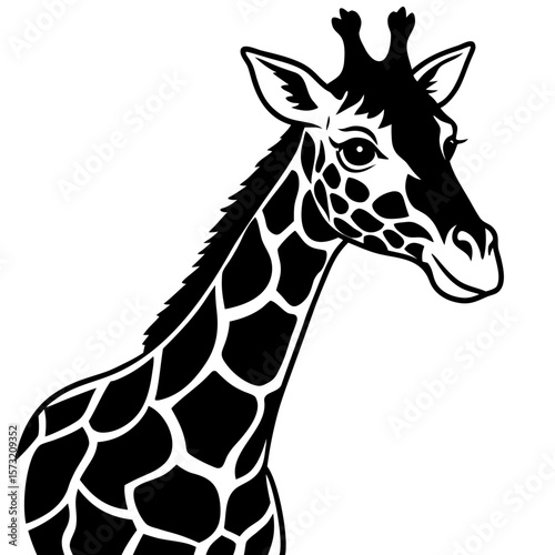 Close up portrait of a giraffe head and neck silhouette