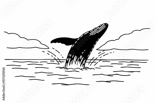 Silhouette of a breaching whale in the ocean water