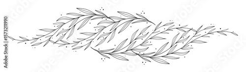 floral leaves line art isolated on white background. Divider doodle leaf and flowers, nature border decorative element vector illustration