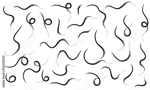 Brush line stroke squiggly paint set on chalkboard. Hand drawn doodle swirl wave brush curly charcoal stroke. Line squiggly paint curly hand drawn ink calligraphy elements. Vector illustration. 