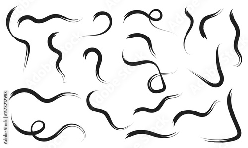 Brush line stroke squiggly paint set on chalkboard. Hand drawn doodle swirl wave brush curly charcoal stroke. Line squiggly paint curly hand drawn ink calligraphy elements. Vector illustration. 
