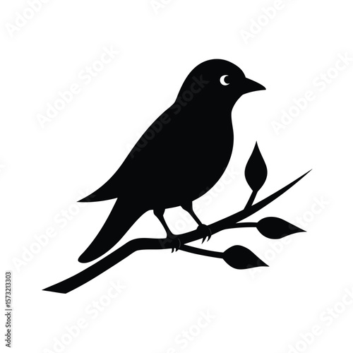 Bird perched on branch silhouette for nature wildlife birdwatching and peaceful themes