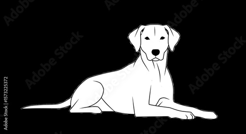Loyal Labrador Retriever Sitting Pose Vector Artwork
Friendly Labrador Dog Vector Illustration
