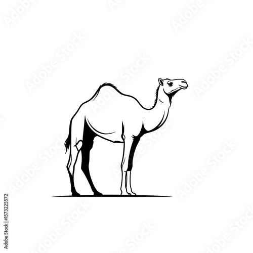 Desert Camel Silhouette Vector Illustration
