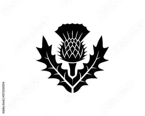 unique Thistle silhouette illustration isolated on white background