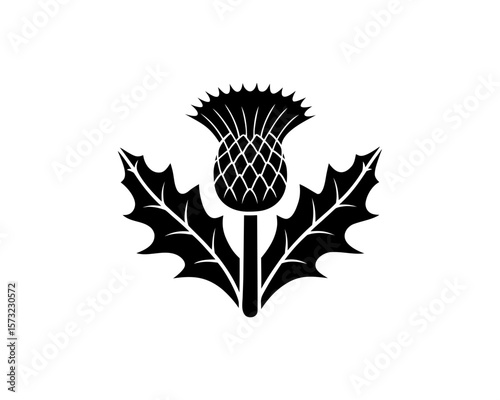 unique Thistle silhouette illustration isolated on white background