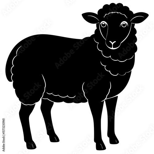 vector illustration of sheep