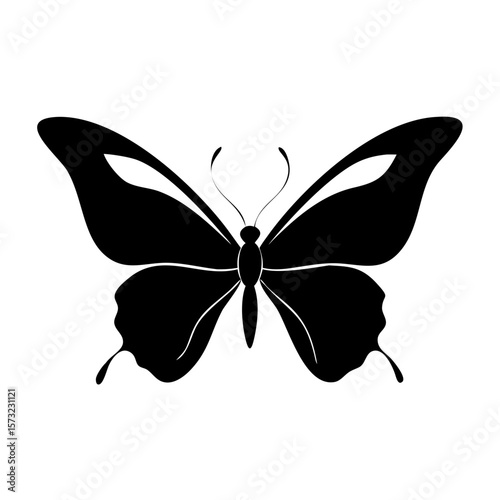 butterfly vector illustration