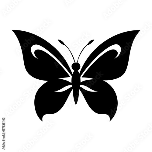 butterfly vector illustration