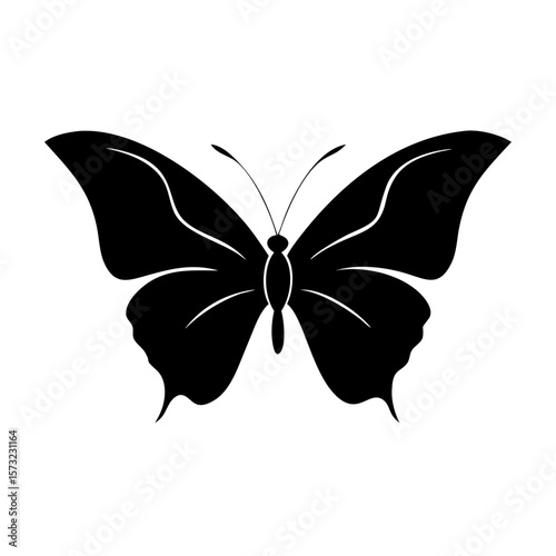butterfly vector illustration