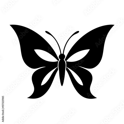black and white butterfly