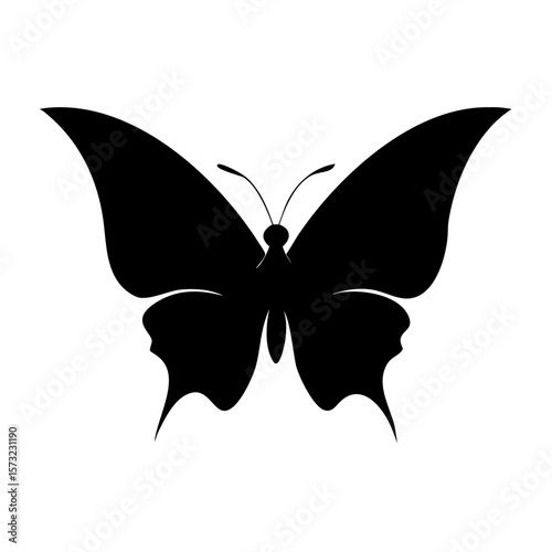 butterfly vector illustration