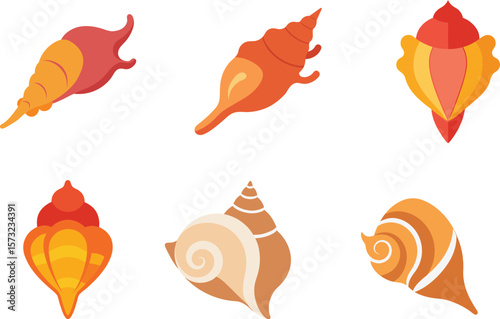 Conch