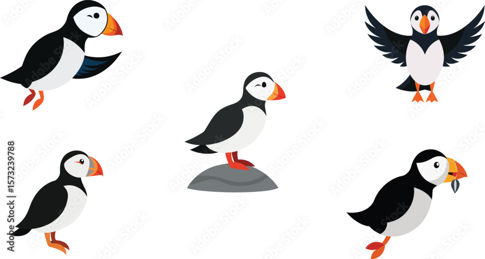 Fototapeta premium Puffin