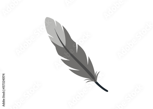 Bird feather Vector, Bird feather Icon Illustration