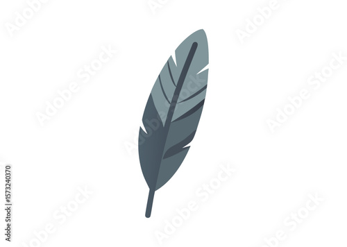 Bird feather Vector, Bird feather Icon Illustration