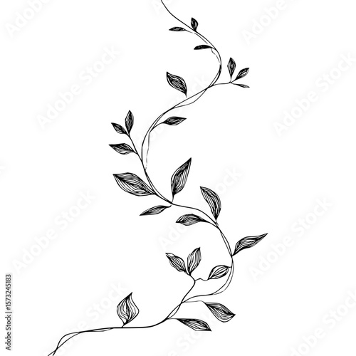 A delicate vine with intricately detailed leaves winding upwards in a graceful and flowing pattern design