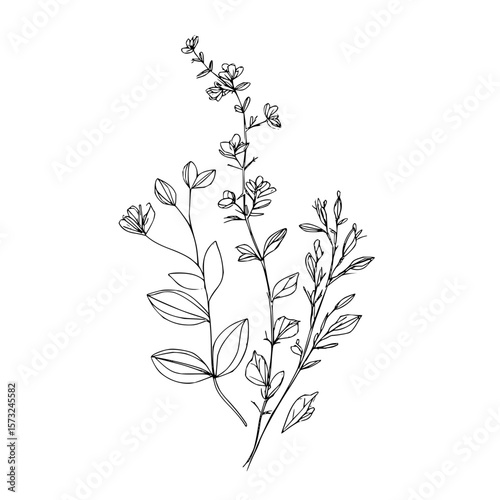 Illustration of three delicate botanical sprigs with leaves and small flowers in a minimalist style design
