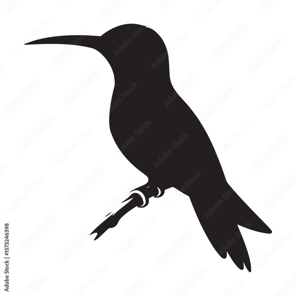 Fototapeta premium Humming bird silhouette vector art illustration, Wildlife