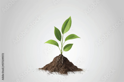 young plant in soil on transparent background,png design elements