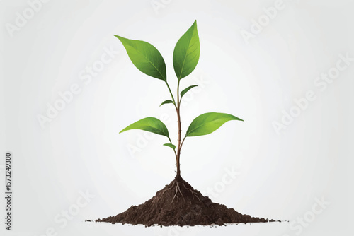 young plant in soil on transparent background,png design elements
