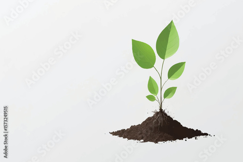 young plant in soil on transparent background,png design elements
