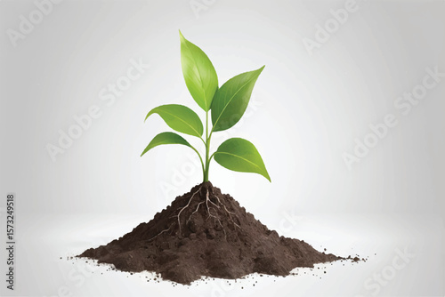 young plant in soil on transparent background,png design elements