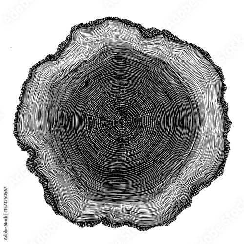 Detailed monochrome illustration of a tree trunk section with visible growth rings and rough edges