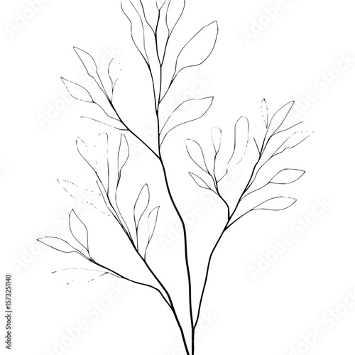 A minimalist drawing of a plant stem with several branches and leaves in a black and white color scheme
