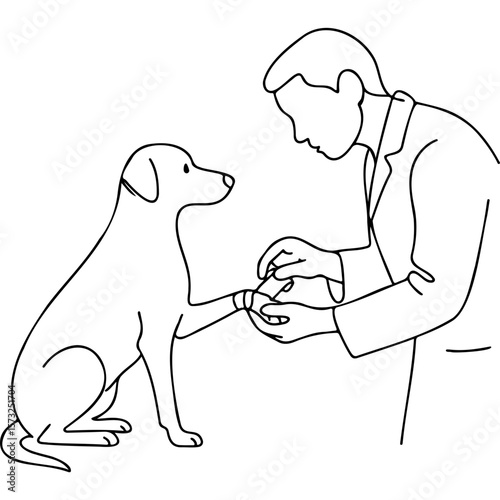 Veterinarian treating injured paw of dog in a caring manner  