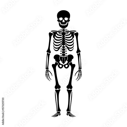 skeleton Halloween black silhouette vector, spooky simple silhouette design icon on white background, Halloween clipart illustration