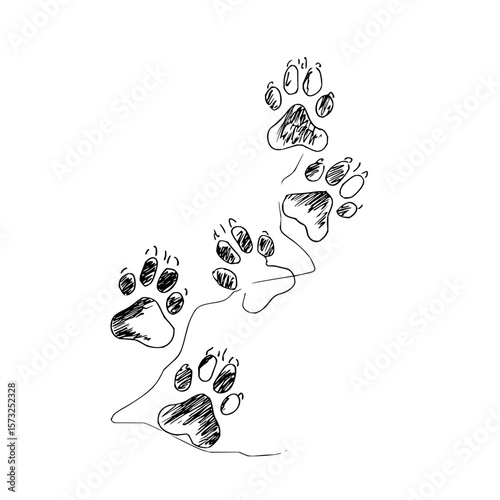 Illustration showing a series of animal paw prints in black ink on a white background drawing style