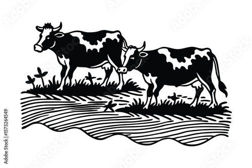 Grazing Cattle Herd on Pasture Landscape