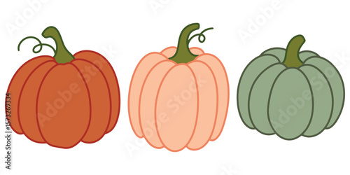 Three pumpkins in warm autumn colors isolated on white. Simple vegetable illustration in rustic seasonal style