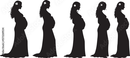Pregnant Mother Posing For Maternity Photo silhouette