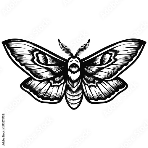 Vintage style butterfly illustration in engraved monochrome, showing detailed wing patterns and delicate antennae.