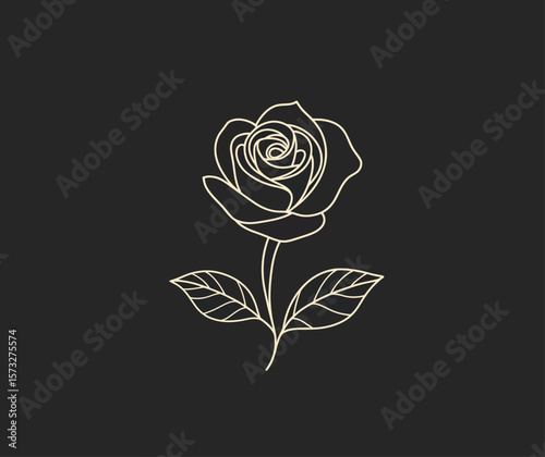 Rose flower with leaves are beautifully outlined in light yellow tone against dark background